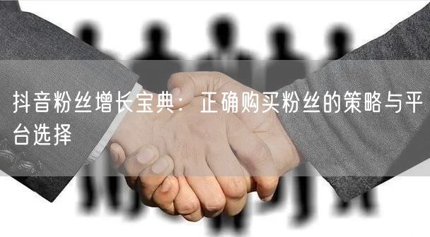 抖音粉丝增长宝典：正确购买粉丝的策略与平台选择
