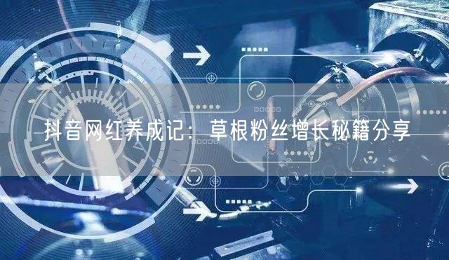 抖音网红养成记：草根粉丝增长秘籍分享