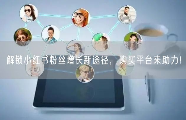解锁小红书粉丝增长新途径，购买平台来助力！