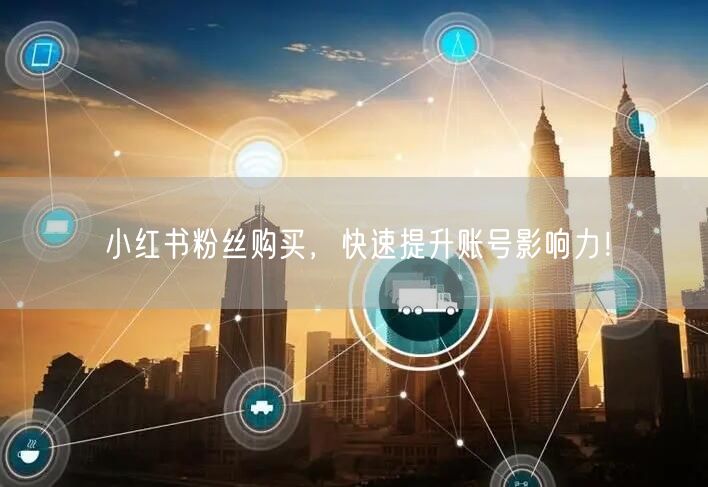 小红书粉丝购买，快速提升账号影响力！
