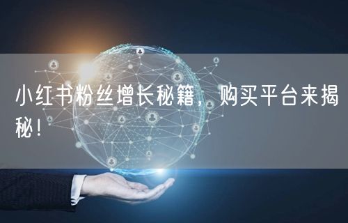 小红书粉丝增长秘籍，购买平台来揭秘！